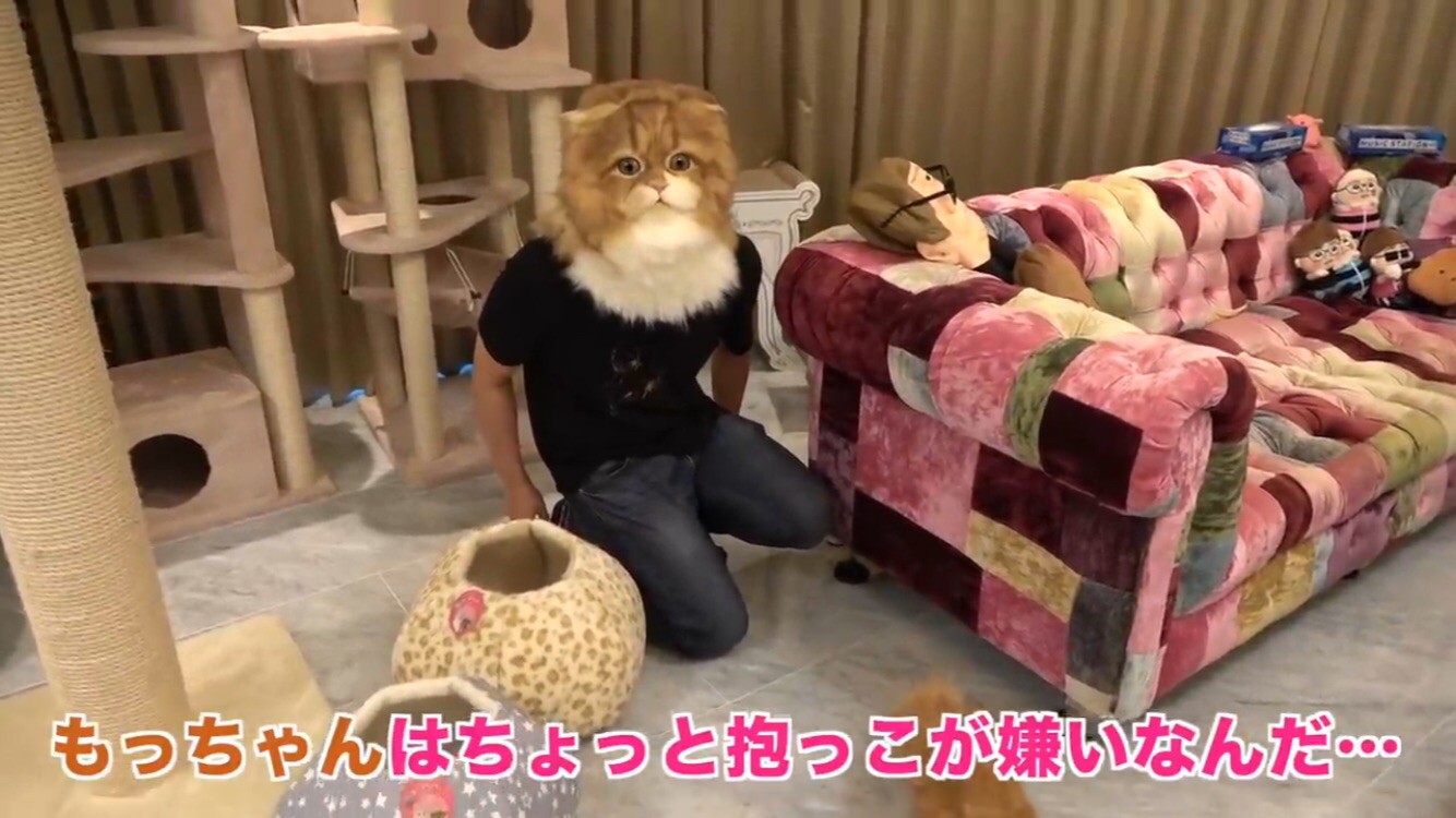 If Hikakin is not fond of the cat “Mofuko”, it will be a topic in Wai