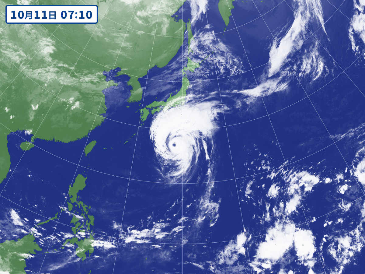 [Good news] Typhoon No. 19, bald