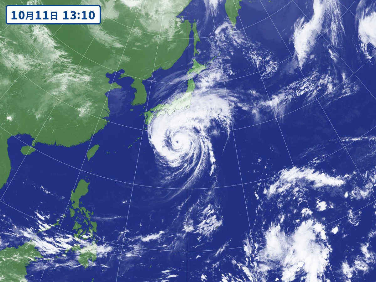[Good news] Typhoon No. 19, bald