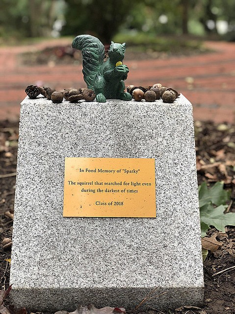 [Good news] Mr. Squirrel, who took a break from the university by biting the electric wire, was praised by students and made a bronze statue
