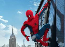[Image] Spider-netco climbing up the screen door wwwwwwwww